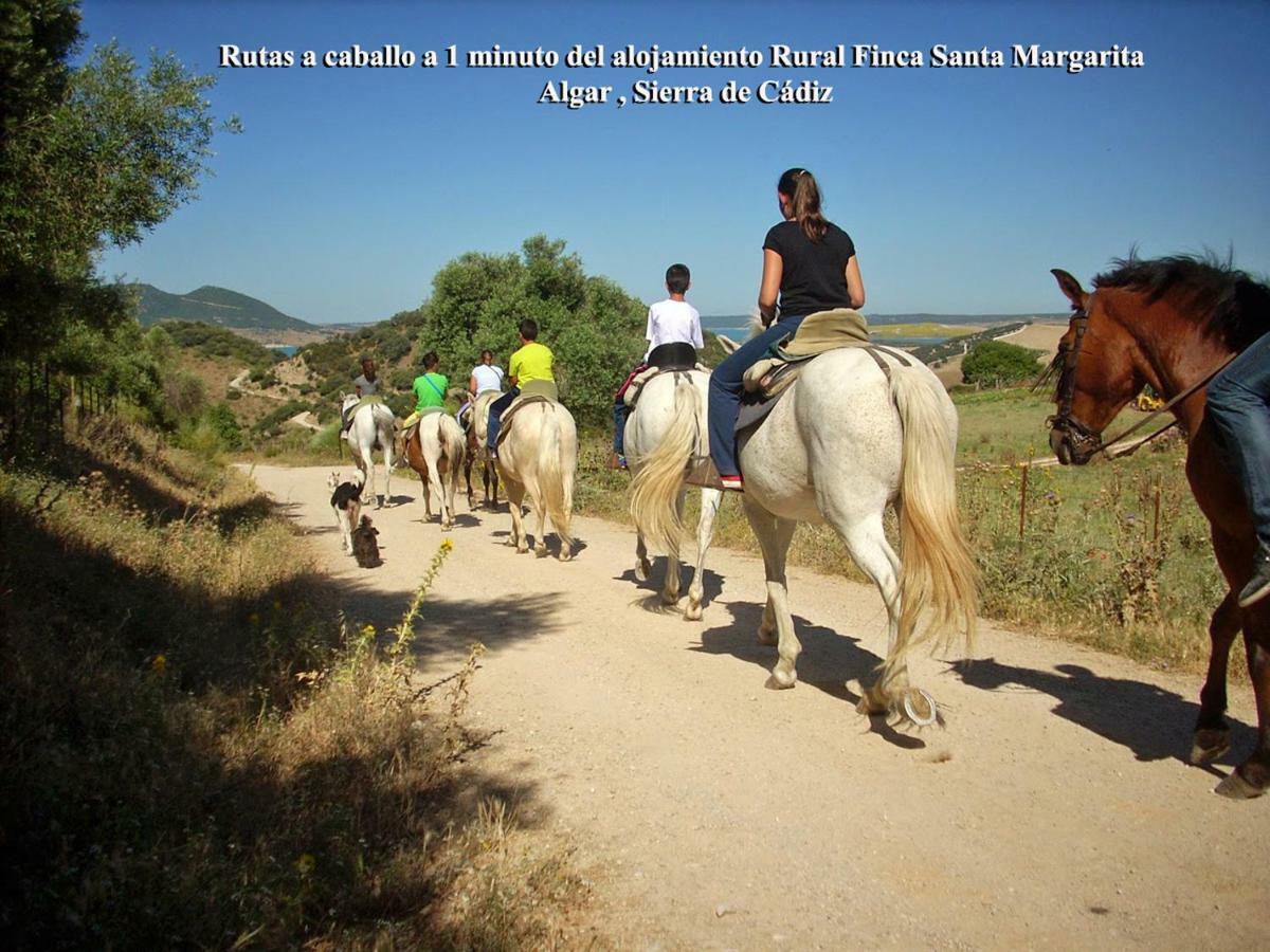 Alojamiento Rural - Finca Santa Margarita Algar  Bagian luar foto